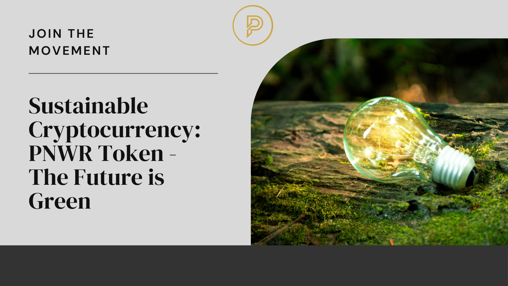 PNWR Token: Supporting a Greener Tomorrow